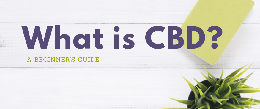 what is cbd oil and how to use it